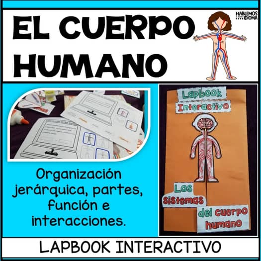 Lapbook: Sistemas del cuerpo humano