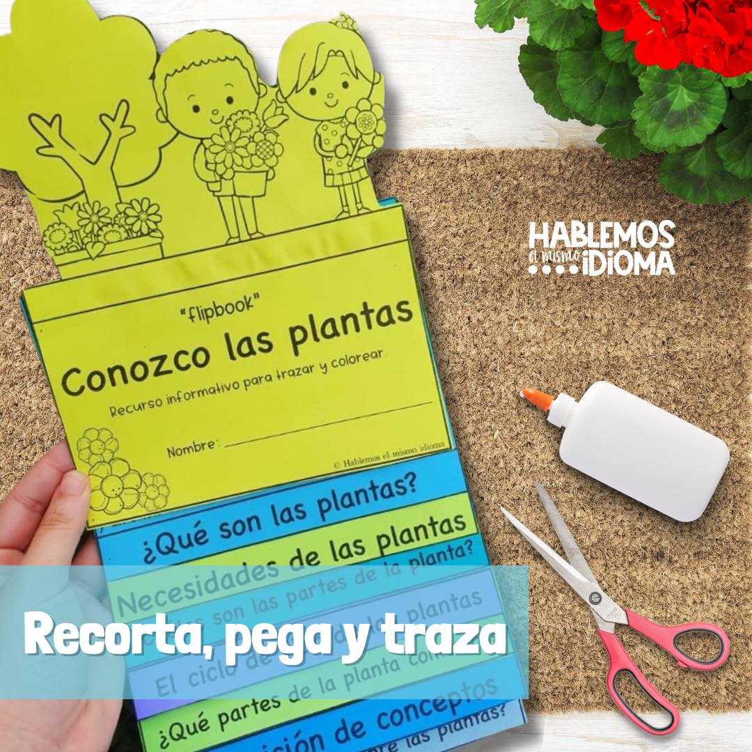 Plants: Needs, parts, cycle and more | Informative flipbook