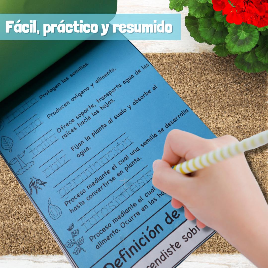 Plants: Needs, parts, cycle and more | Informative flipbook