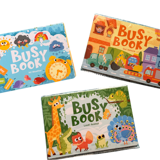 Libro de trabajo interactivo  con actividades para preescolar | Busy Book
