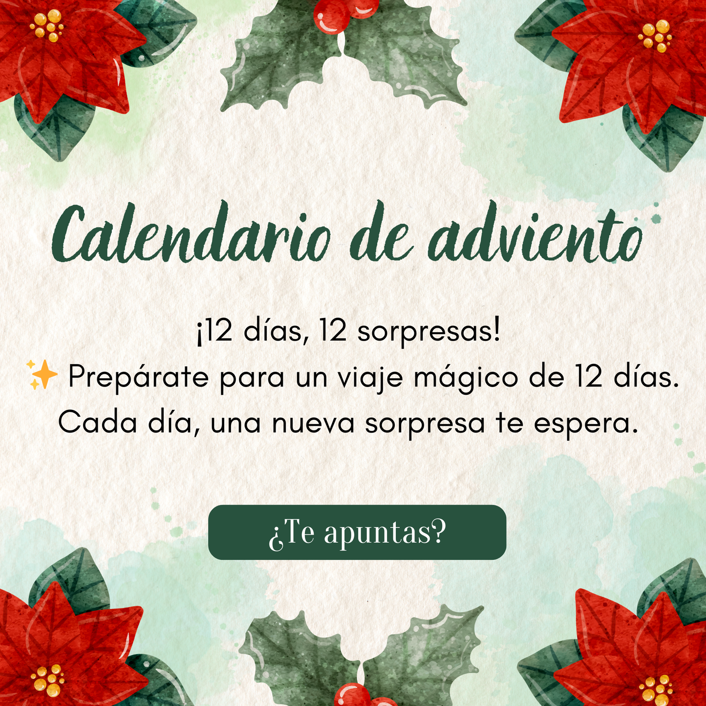 Calendario de adviento: PRE-VENTA NAVIDAD