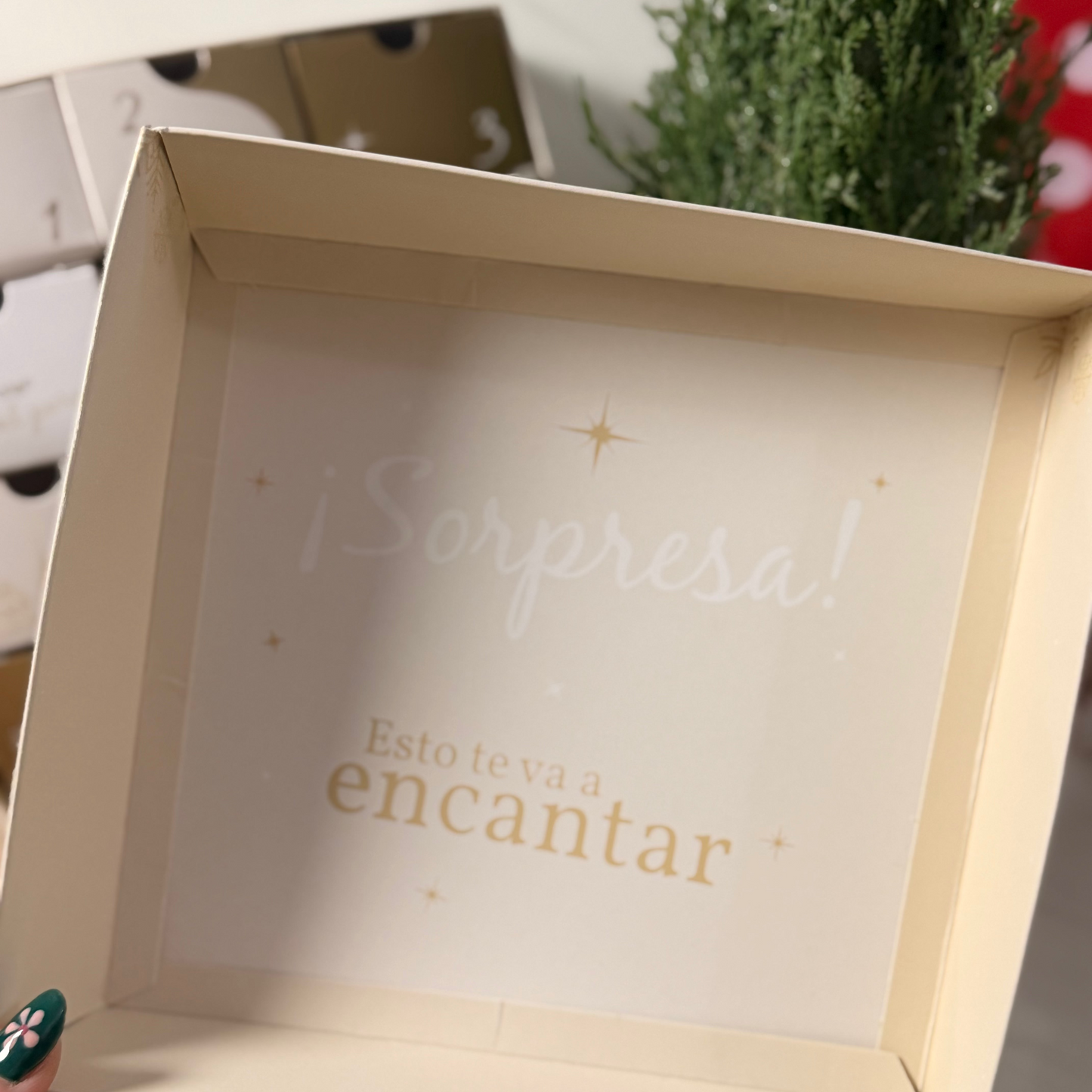 Calendario de adviento: 12 sorpresas de navidad