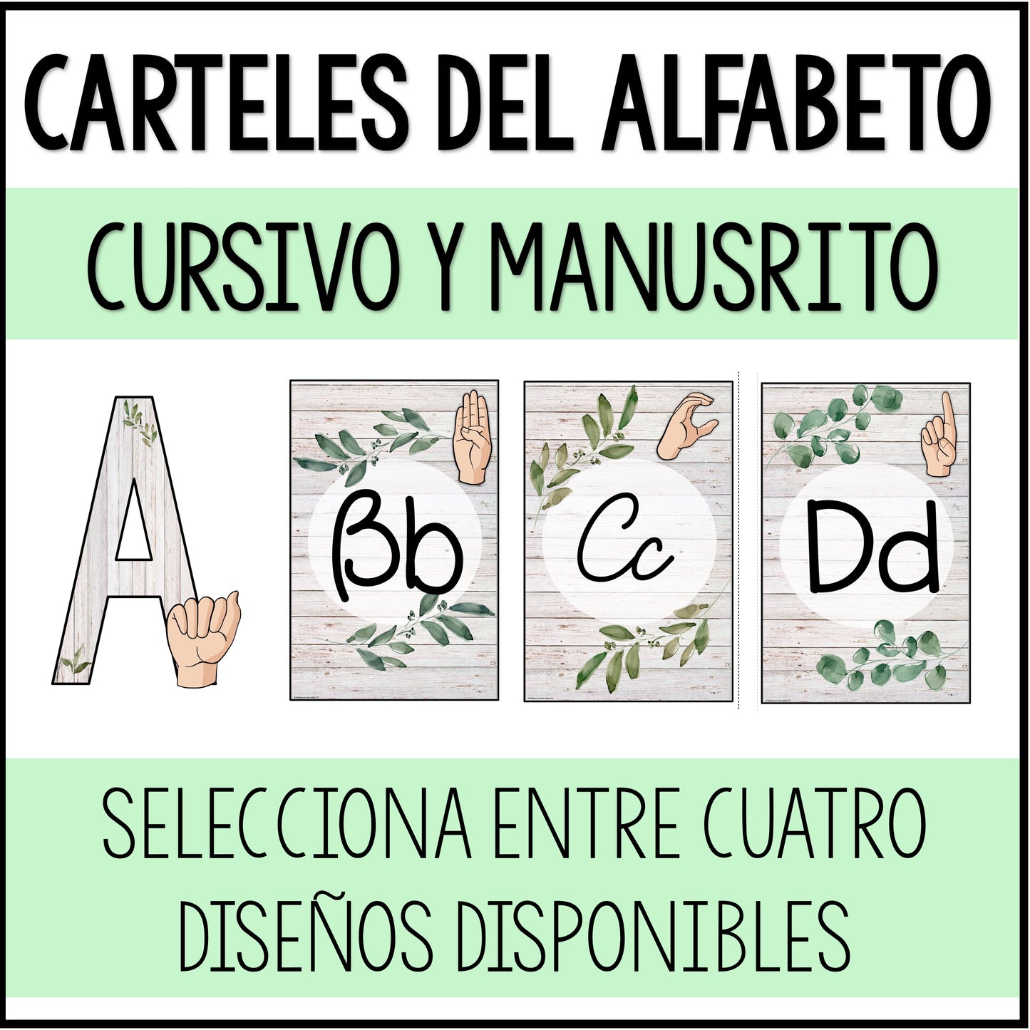 Carteles del alfabeto cursivo y manuscrito | Alphabeth posters in SPANISH | Green leaves