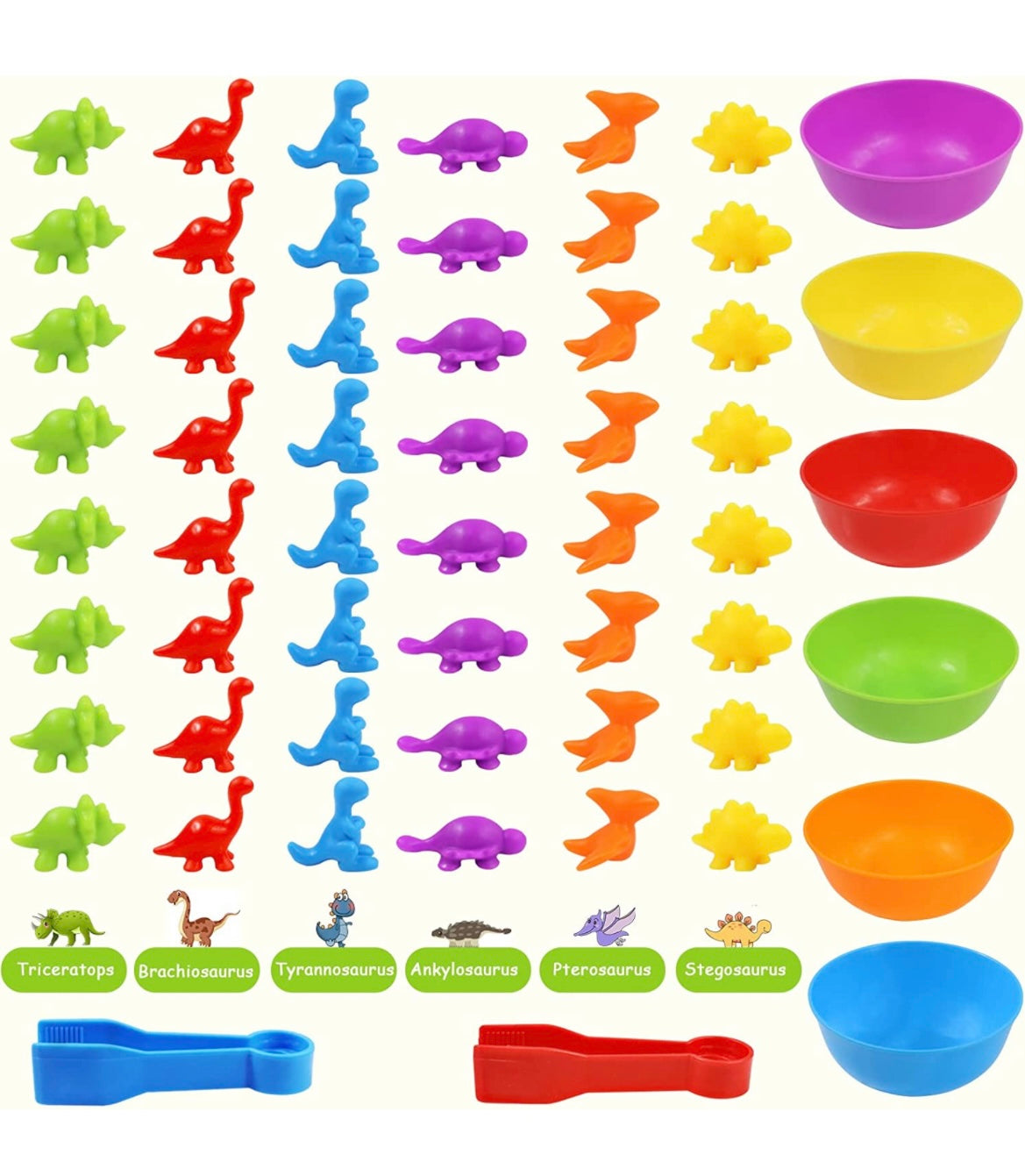 Dino classification | Color classification and sensory training